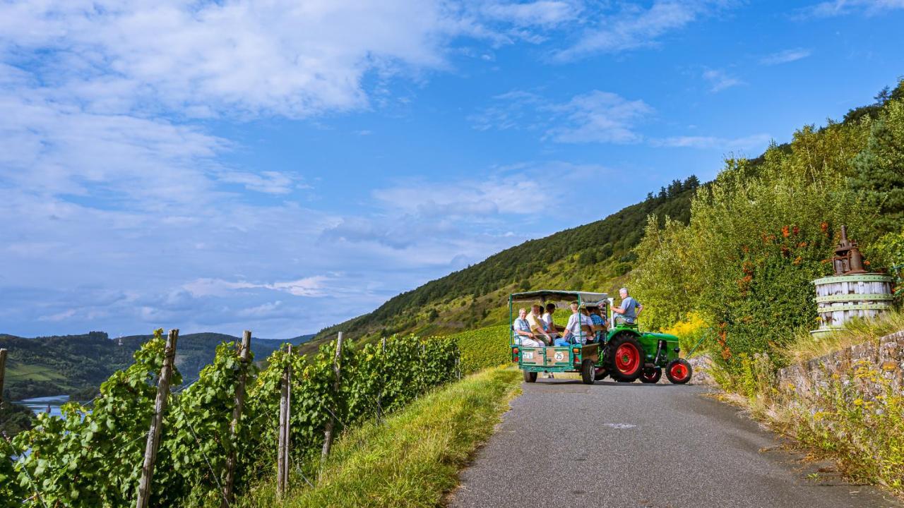 לינה וארוחת בוקר Burg  Ferienweingut Hirschen Schulstrasse מראה חיצוני תמונה