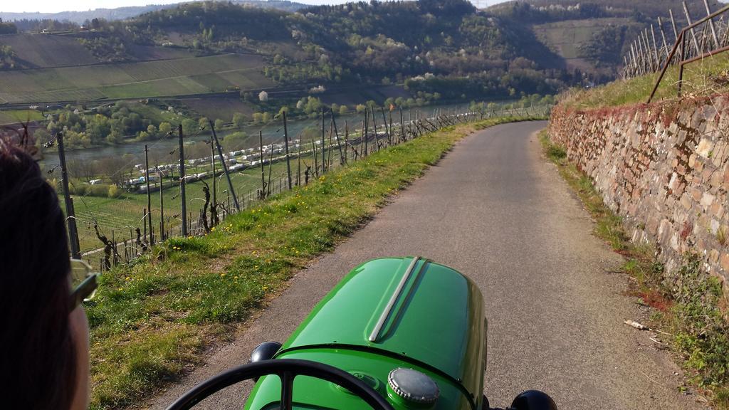 לינה וארוחת בוקר Burg  Ferienweingut Hirschen Schulstrasse מראה חיצוני תמונה