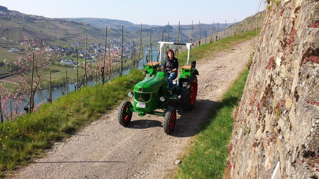 לינה וארוחת בוקר Burg  Ferienweingut Hirschen Schulstrasse מראה חיצוני תמונה