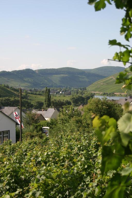 לינה וארוחת בוקר Burg  Ferienweingut Hirschen Schulstrasse מראה חיצוני תמונה