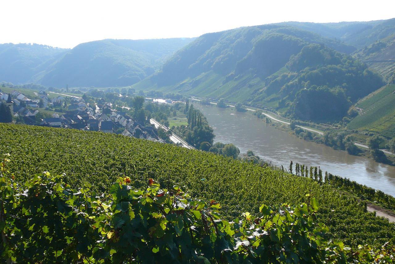 לינה וארוחת בוקר Burg  Ferienweingut Hirschen Schulstrasse מראה חיצוני תמונה